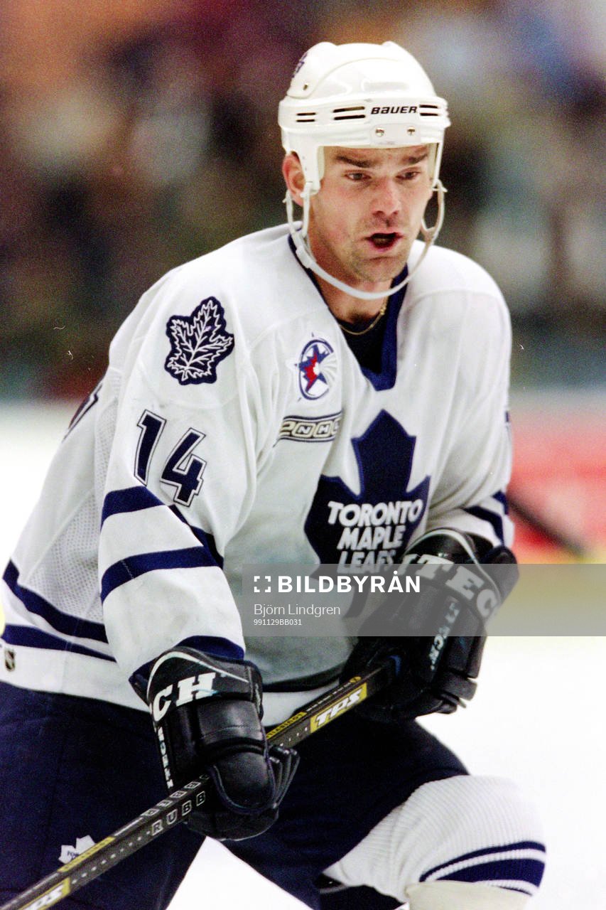 Jonas Höglund, Toronto Maple Leafs
