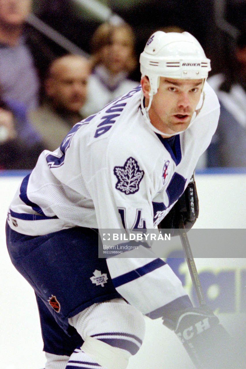 Jonas Höglund, Toronto Maple Leafs