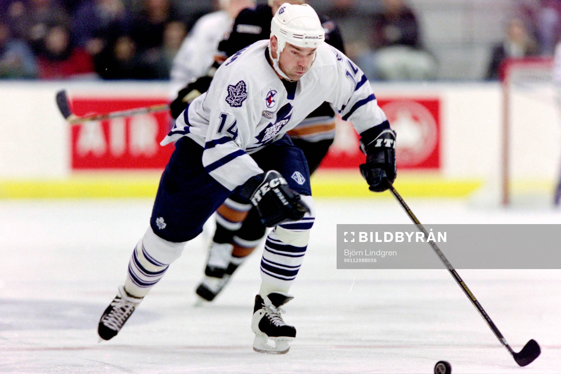 Jonas Höglund, Toronto Maple Leafs
