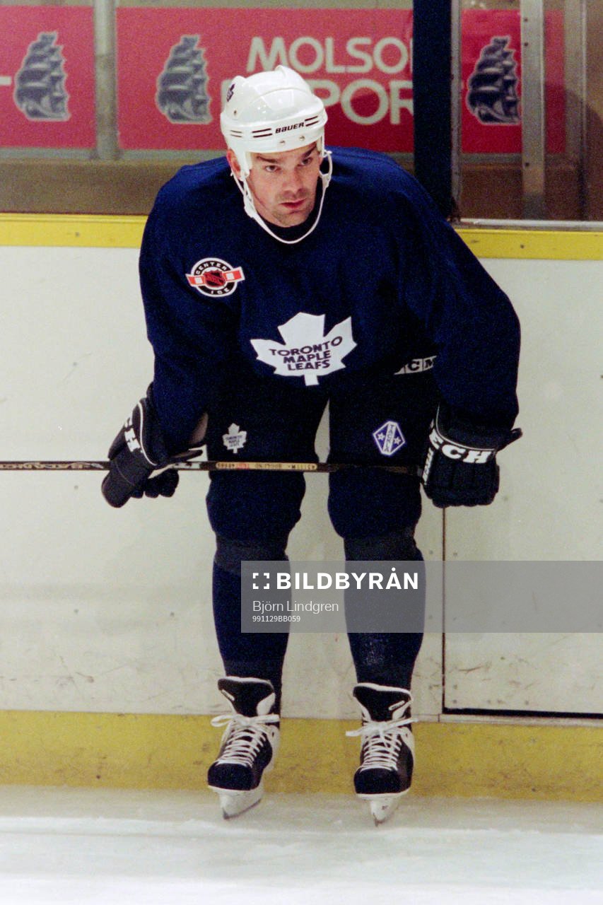 Jonas Höglund, Toronto Maple Leafs