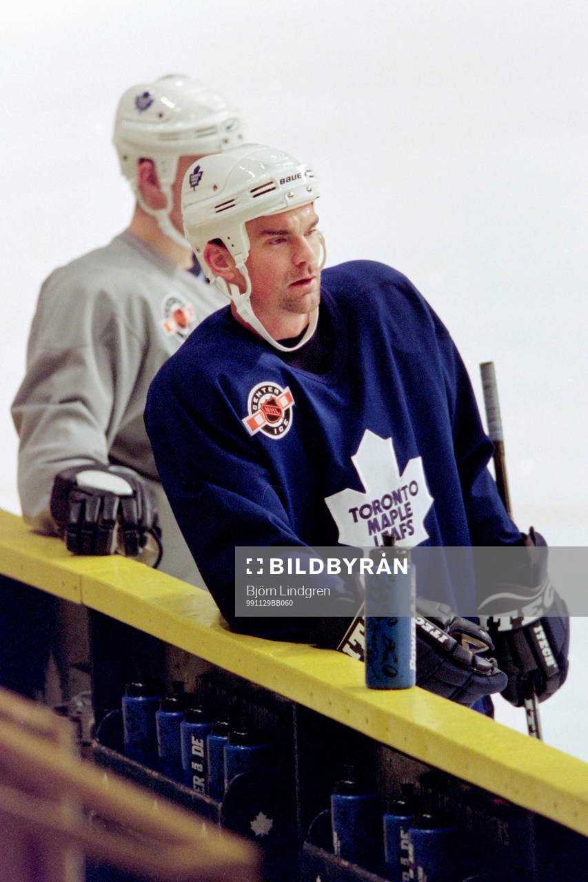 Jonas Höglund, Toronto Maple Leafs