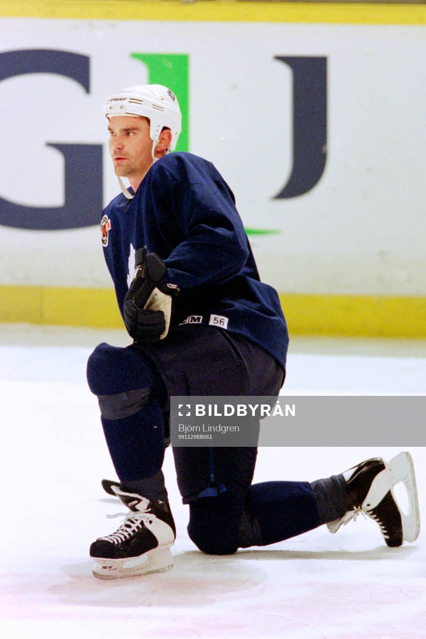 Jonas Höglund, Toronto Maple Leafs
