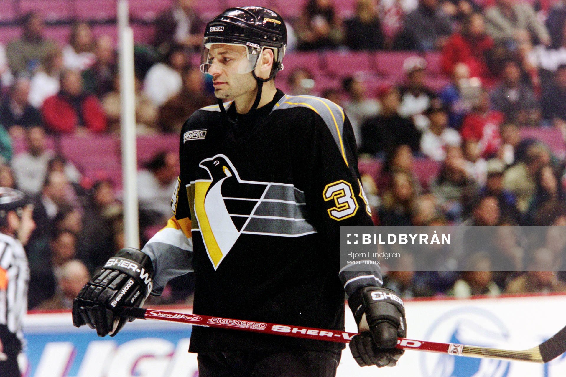Peter Popovic, Pittsburgh Penguins