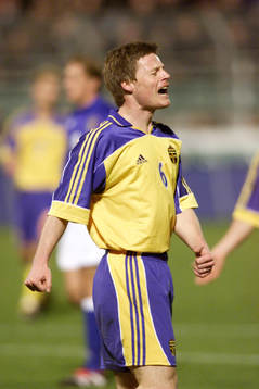Stefan Schwarz, Sverige