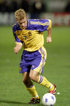 Niclas Alexandersson, Sverige