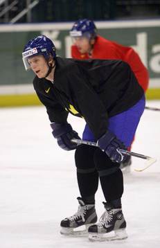 Per-Johan Axelsson, Sverige