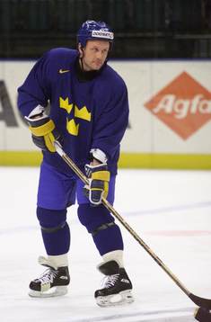 Peter Andersson, Sverige