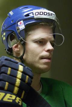 Fredrik Modin, Sverige