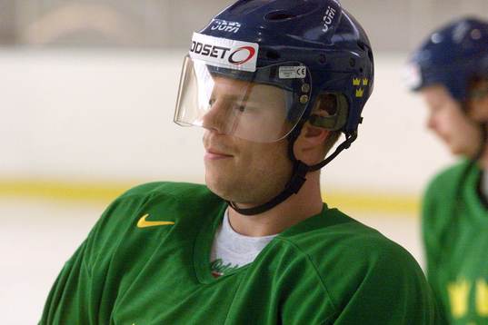 Fredrik Modin, Sverige