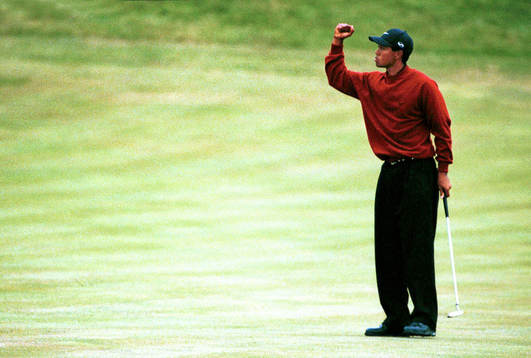 Tiger Woods