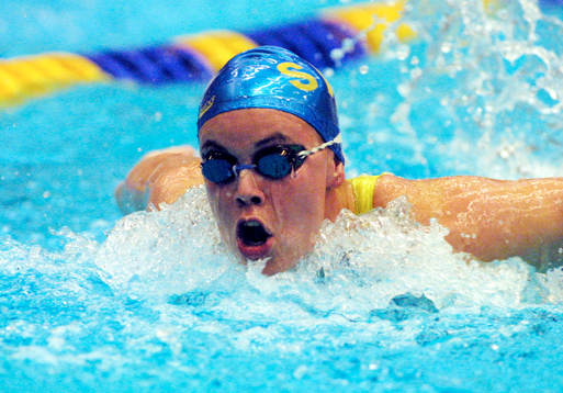 Anna-Karin Kammerling, Sverige