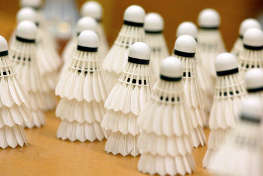 Fjäderboll, fjäderbollar