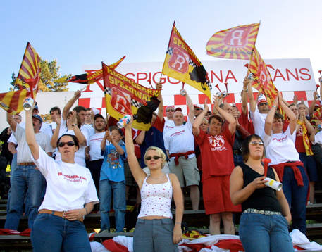 Supporter, Rospiggarna