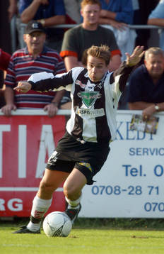 Henrik Andersson, Sylvia