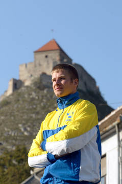 Emil Wingstedt, Sverige