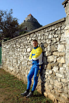 Emil Wingstedt, Sverige