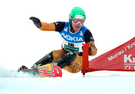 Richard Richardsson, Sverige