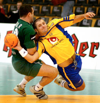 Ljubomir Vranjes, Sverige