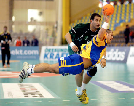Ljubomir Vranjes, Sverige