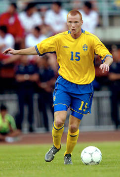 Alexander Farnerud, Sverige