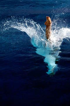 Simning, VM, simhopp, Anna Lindberg, träning, 3 meter,