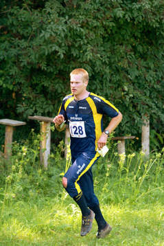 Emil Wingstedt, Sverige