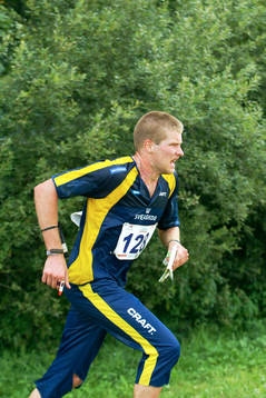Emil Wingstedt, Sverige