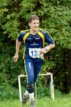 Johan Modig, Sverige