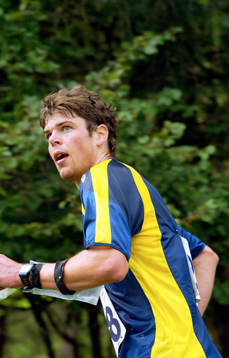 Henrik Tryggesson, Sverige