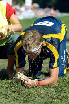 Johan Näsman, Sverige