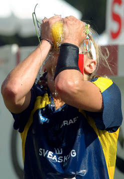 Jenny Johansson, Sverige