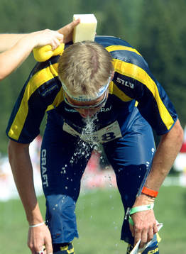 Johan Näsman, Sverige