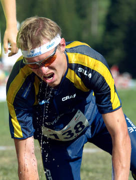 Johan Näsman, Sverige