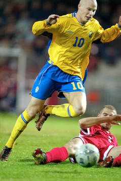 Alexander Farnerud, Sverige