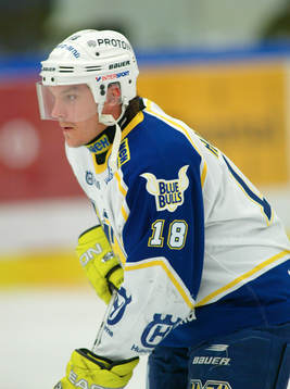 Anders Huusko, HV 71