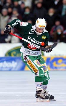 David Karlsson, Hammarby