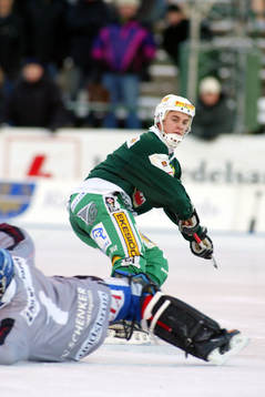 David Karlsson, Hammarby