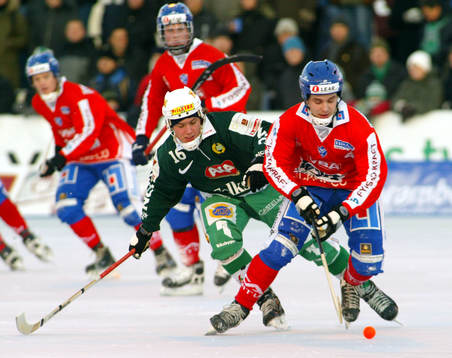 Mats Rönnqvist, Vänersborg och Jesper Ericsson, Hammarby
