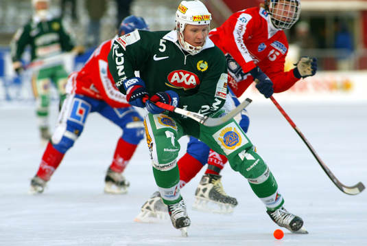 Göran Rosendahl, Hammarby