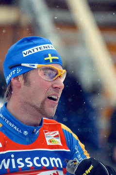 Anders Högberg, Sverige
