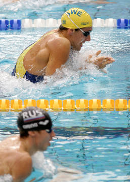 Martin Gustavsson, Sverige