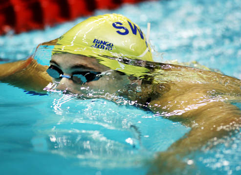 Martin Gustavsson, Sverige