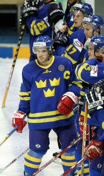 Henrik Zetterberg, Sverige