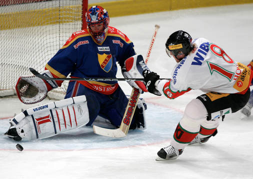 Jose Theodore, målvakt, Djurgården och Marian Hossa, Mora