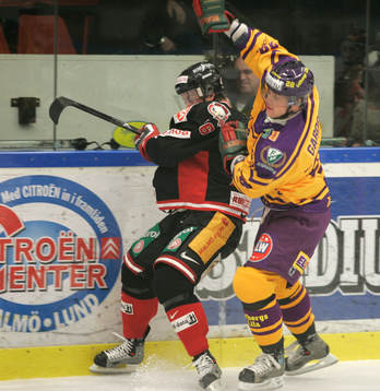 Franz Nielsen, Malmö och Marian Gaborik, Färjestad