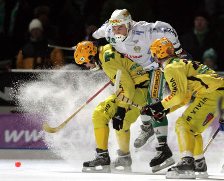 Christian Waaler, Hammarby och Andrei Sannikov och Björn