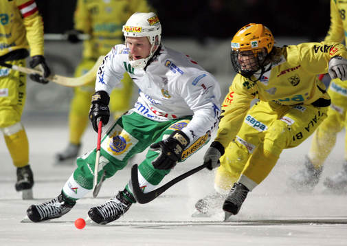 Stefan Erixon, Hammarby och Christoffer Edlund, Vetlanda