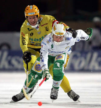 Jonas Holgersson, Hammarby och Stefan Nordén, Vetlanda