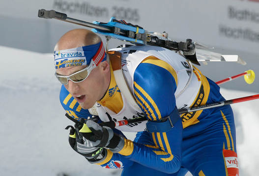 Carl-Johan Bergman, Sverige