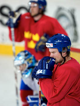 Ronnie Sundin, Henrik Lundqvist och